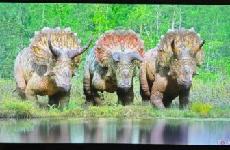 This LG TV is massive on vivid colours however lacks particulars at nighttime