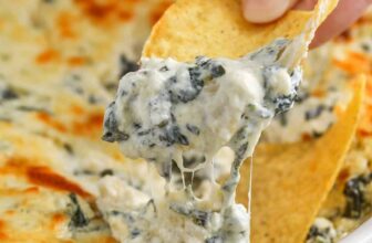 12 Finest Get together Appetizer Dips