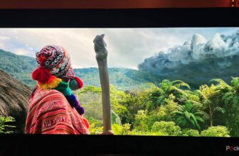 Your sensible TV is mendacity