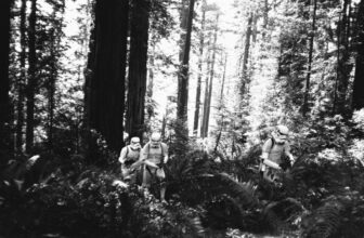 Take a look at This Treasure Trove of Unseen Images From the Filming of ‘Return of the Jedi’