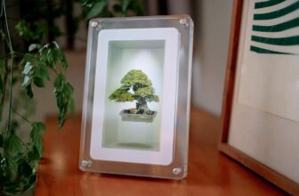 Trying Glass’ Musubi showcases its holographic show in a consumer-friendly package deal