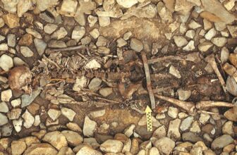 DNA From 1,500-12 months-Previous Korean Mass Grave Exposes a Brutal Historic Ritual