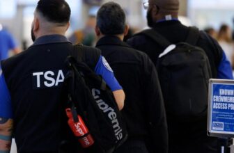 Trump Desires to Begin Privatizing TSA in Newest Finances Proposal