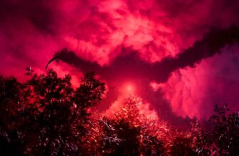 PlayStation Plus April catalog provides embody Horizon Remastered, Squirrel with a Gun and Frank Stone