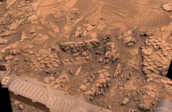 NASA’s Curiosity Rover Spots Unusual Fish-Scale Patterns on Mars
