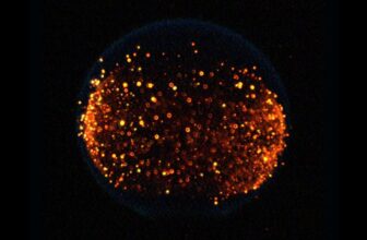 NASA Plans to Begin a Fireplace on the Moon in First-of-Its-Variety Experiment