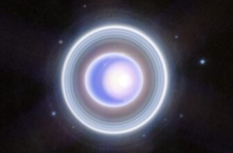 Scientists Probed the Rings Round Uranus to Discover Out How They Bought There