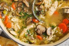 Hen and Mushroom Soup