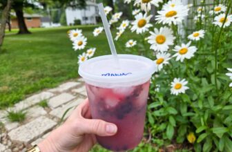 Simple Mocktails – Barefeet within the Kitchen